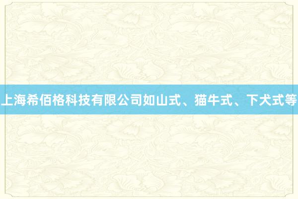 上海希佰格科技有限公司如山式、猫牛式、下犬式等